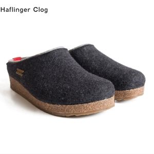 Haflinger Grizzly "Kris"